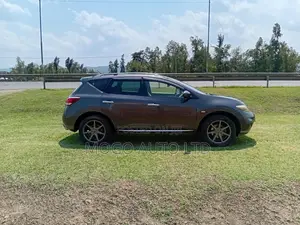 Nissan Murano 2014 Brown