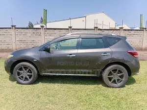 Nissan Murano 2014 Brown