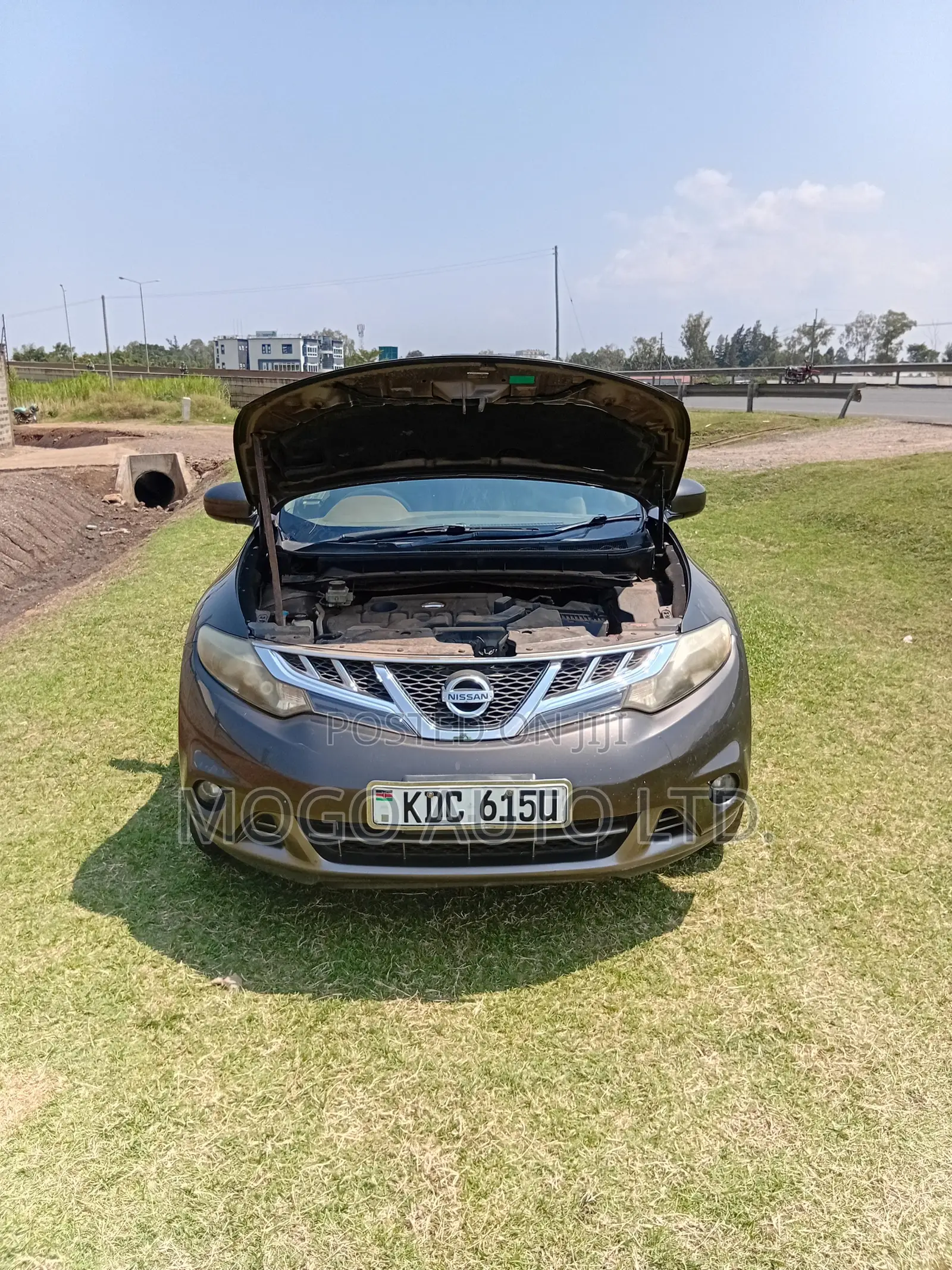 Nissan Murano 2014 Brown