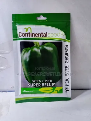 Super Bell F1 Capsicum Green Pepper 25g Hoho