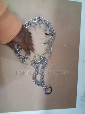 Prong Collar for Dogs