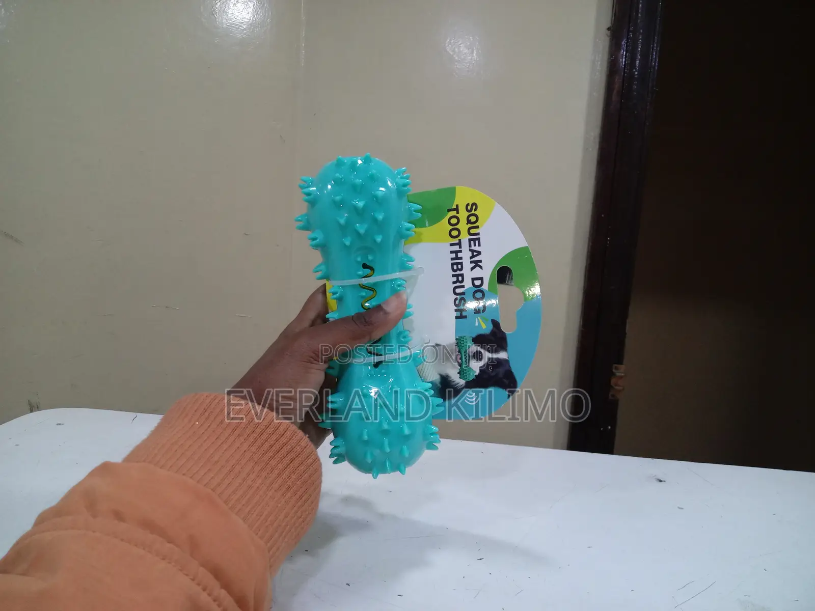 Squeaky Bone-Like Chew Toy