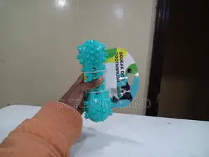 Squeaky Bone-Like Chew Toy