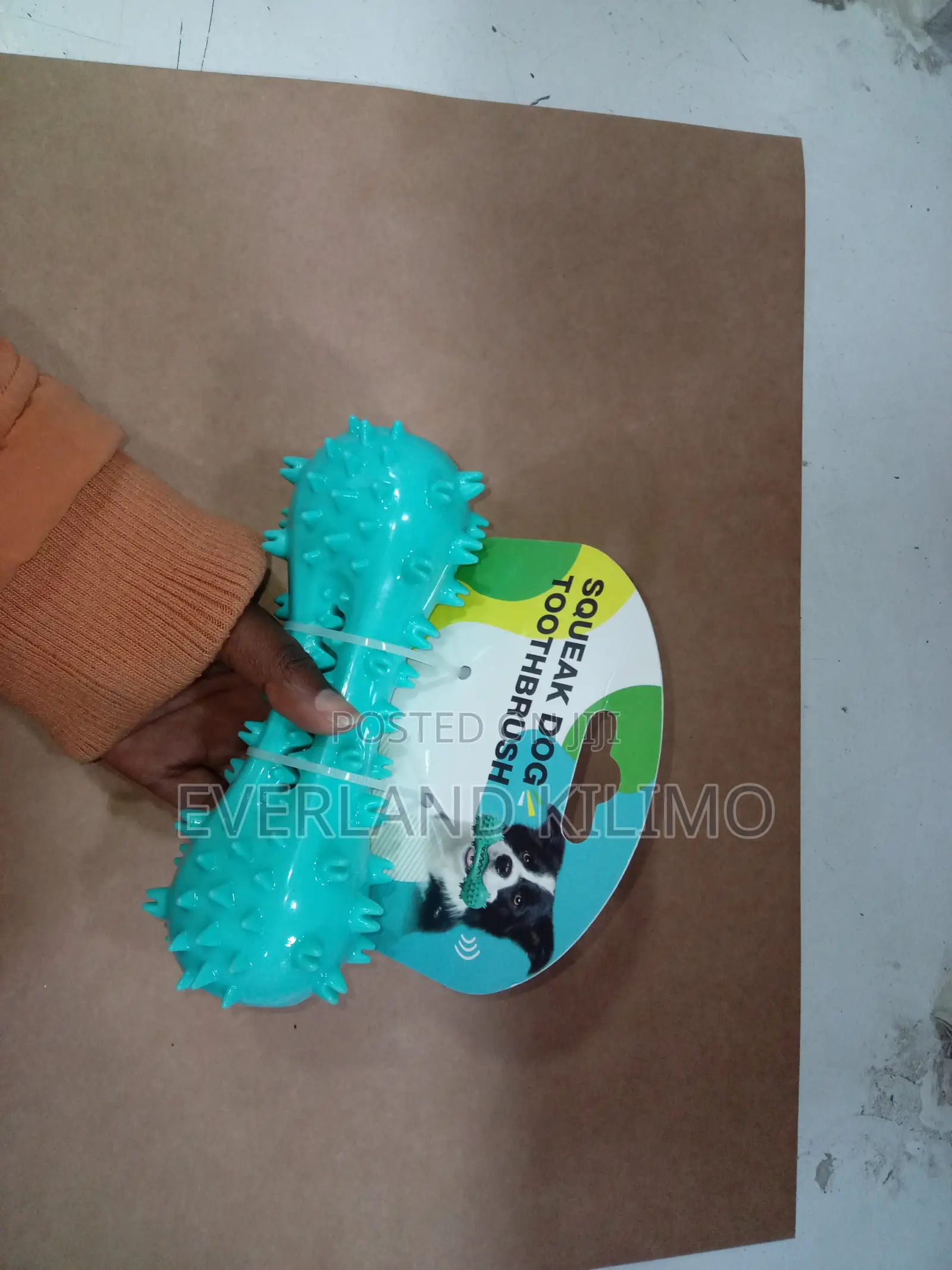 Teething Bone Shaped Like Dog Interactive Toy
