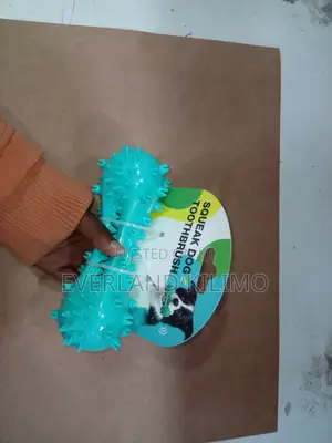 Teething Bone Shaped Like Dog Interactive Toy