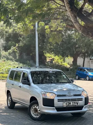 Toyota Probox 2016 Silver