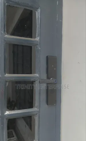 Smart Locks Biometric Intelligent Door Lock TUYA WIFI