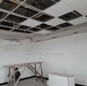 Acoustic Ceilings and Gypsum Walls