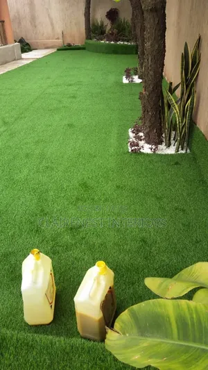 Backdoor, Shinny, Evergreen Artificial Grass Carpet