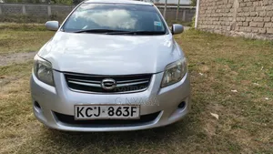 Toyota Corolla Fielder 2009 Silver