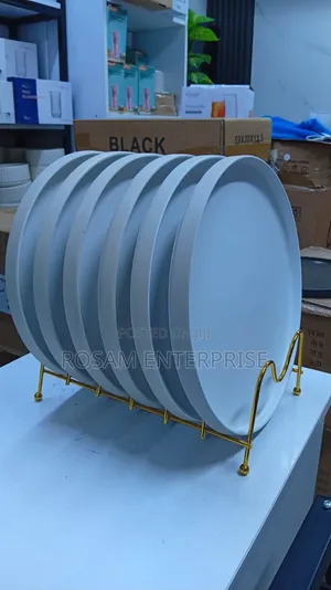 Set of 6pcs 10.5inch Plates