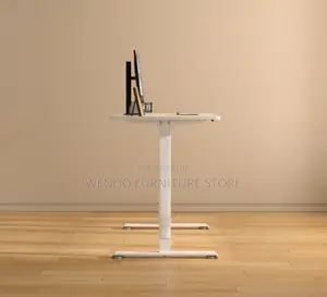 Office Desk : 1.6M Modern Electric Adjustable Height Table