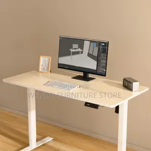 Office Desk : 1.6M Modern Electric Adjustable Height Table