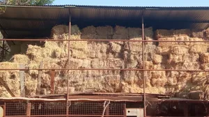Hay Bale's for Sale