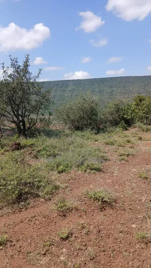 Two Acres of Land for Lease
