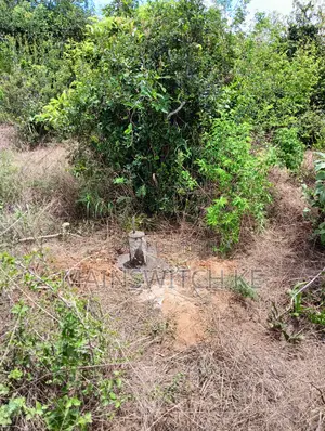 4 Acres 50 Meters From Tarmac Road With Adjudication Number