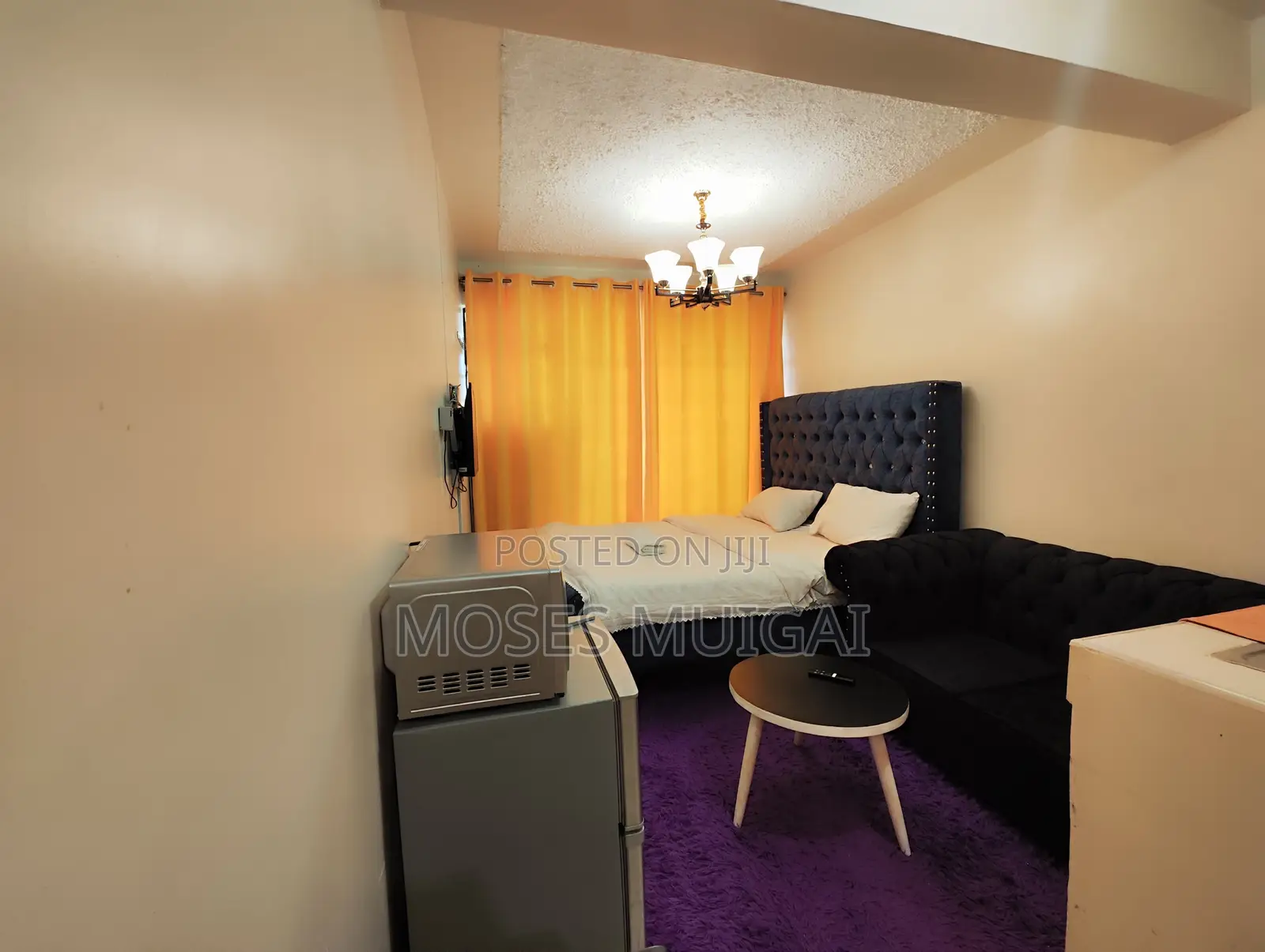 Spacious Studio
