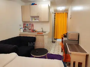 Spacious Studio