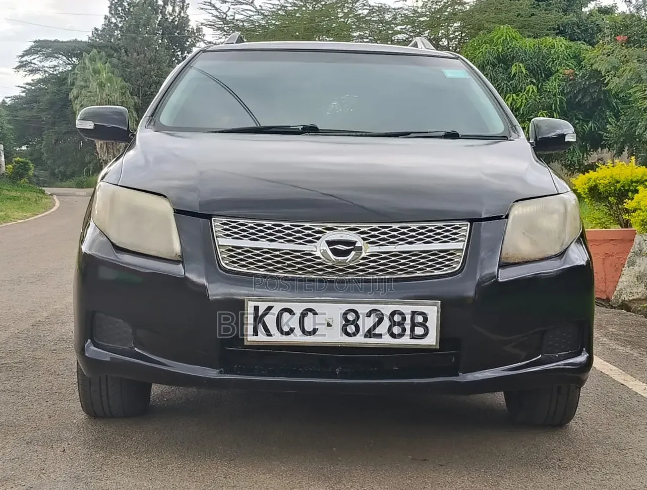 Toyota Corolla Fielder 2007 Black