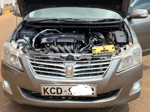 Toyota Premio 2010 Gray
