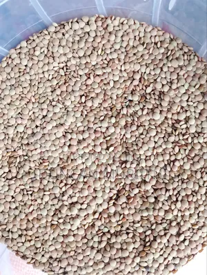 Lentils (Kamande)