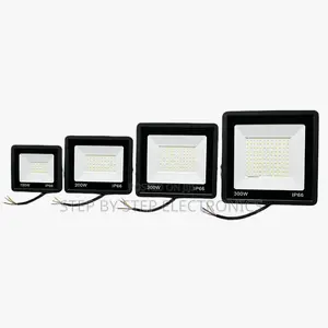 Ultra-Bright 200W,100W,50W,30W AC Electric LED Flood Light