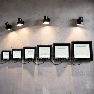 Heavy-Duty Rugged 300W,100W,50W,30W AC Electric LED Flood Light