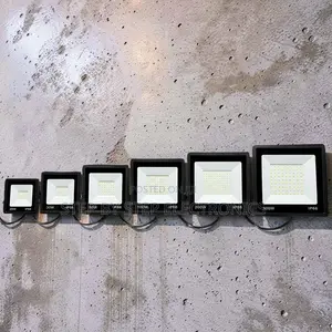 Eco-Friendly Efficient 300W,100W,50W,30W AC Electric LED Flood Light