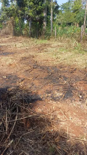 1/2An Acre Matungu.