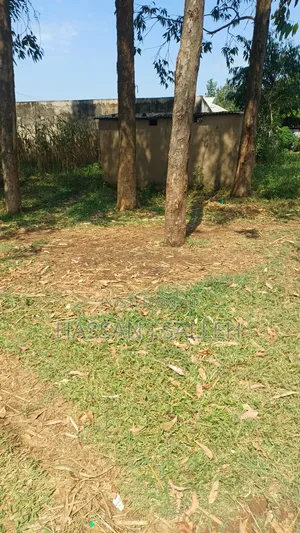 Plot for Sale Matungu