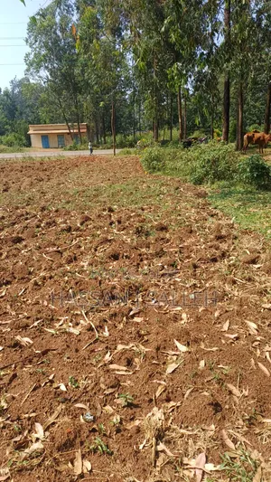 Plot for Sale Matungu