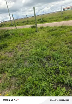 Prime Plot in Sabaki