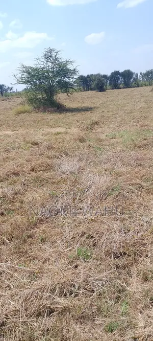 Prime Plots for Sale in Joska