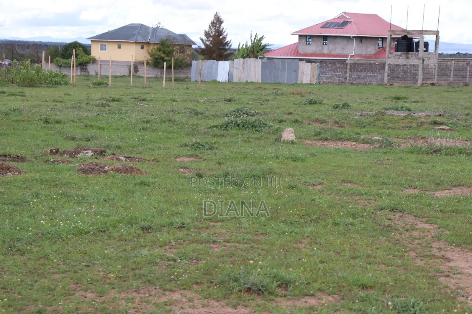 Prime Plots in Kimalat