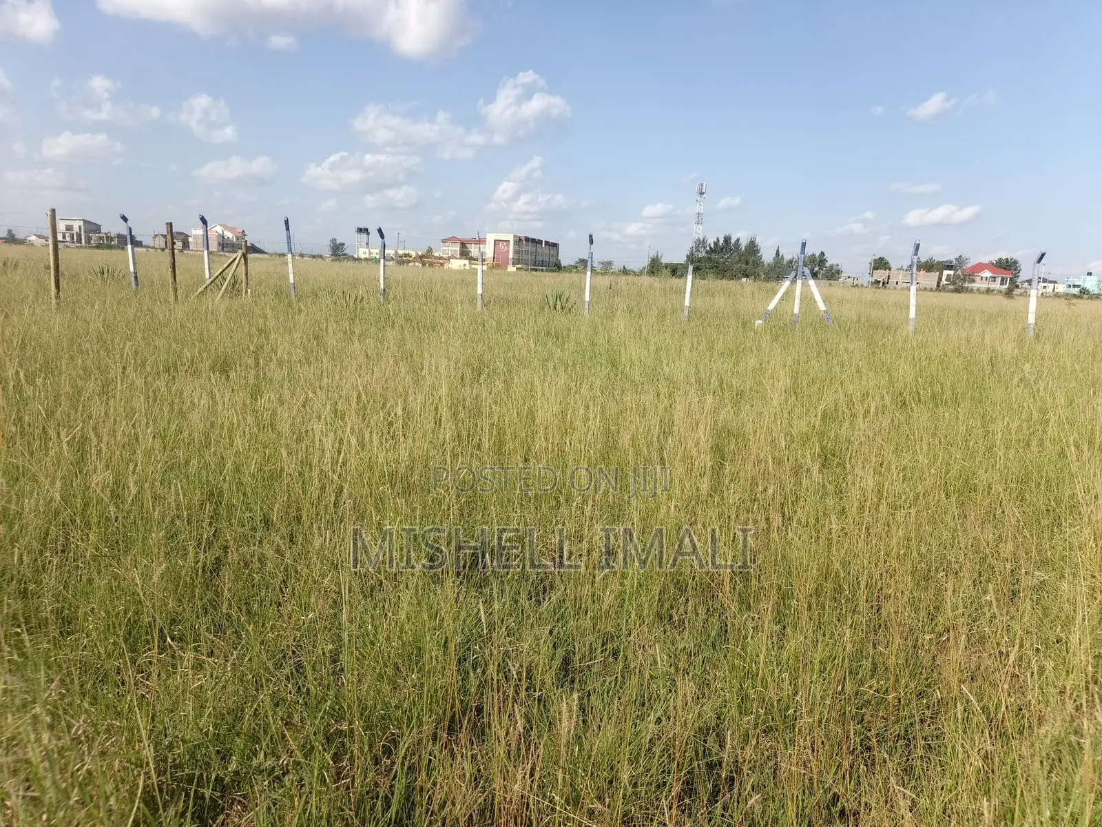 Prime Plots in Sabaki.