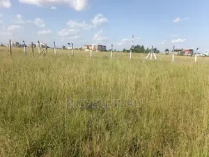 Prime Plots in Sabaki.