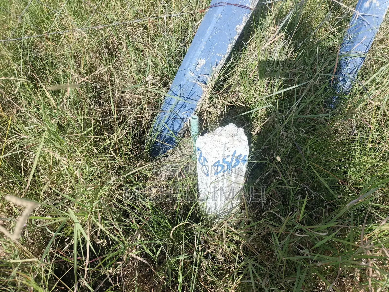 Prime Plots in Sabaki.