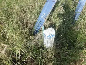 Prime Plots in Sabaki.
