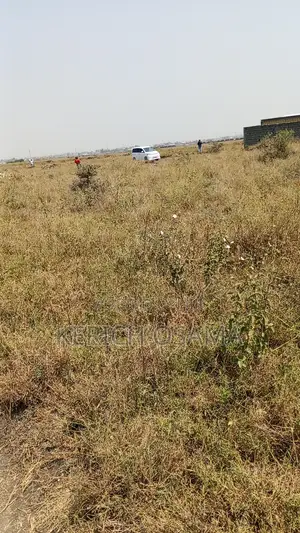 Prime Plots for Sale