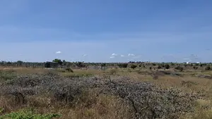 Prime Plots in Isinya