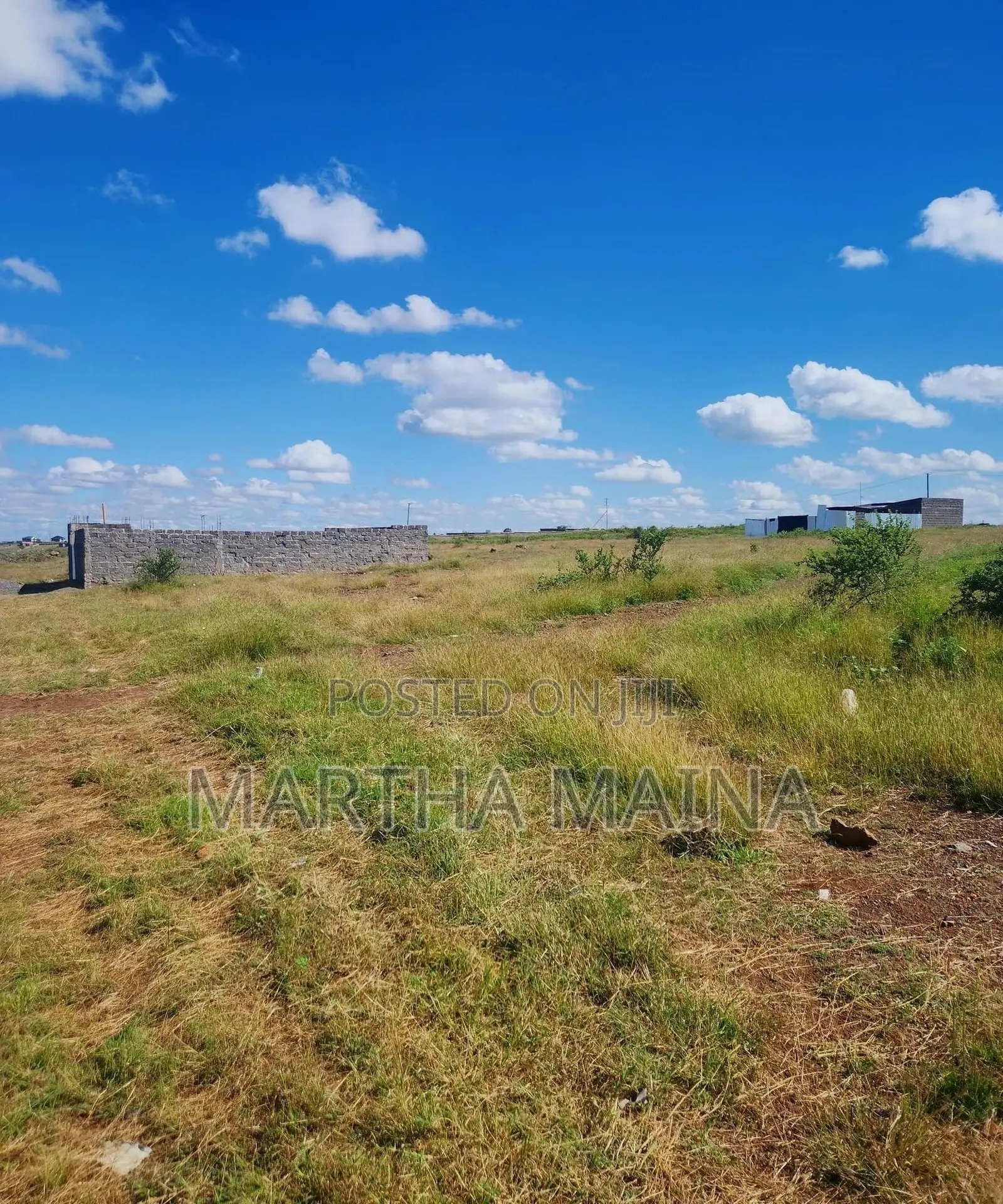 Prime Plots in Isinya