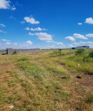 Prime Plots in Isinya