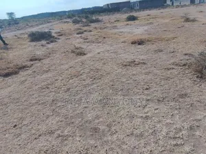 Affordable Land for Sale