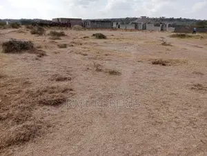Prime Plots in Kitengela