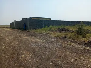 Prime Plots for Sale in Sabaki