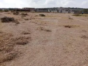 Prime Plots in Kitengela