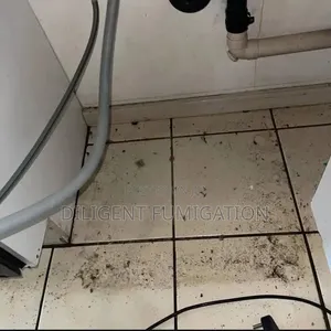 Fumigation