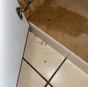 Fumigation