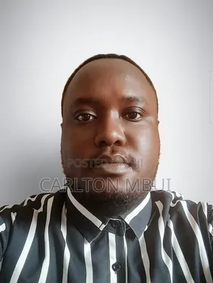 Professional Driver (VIP's Chauffering Uber/Bolt)