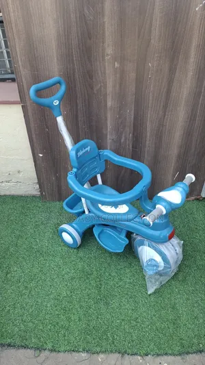 Luxury Toddler Tricycle With Safety Rail – Pink Blue